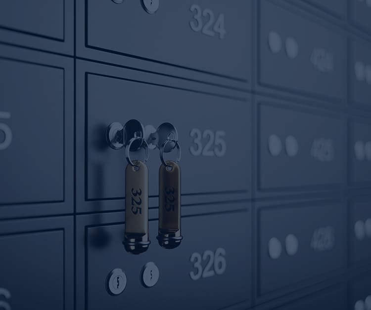 SBM Wealth - Safe Deposit Locker Facility